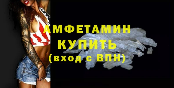 apvp Инсар