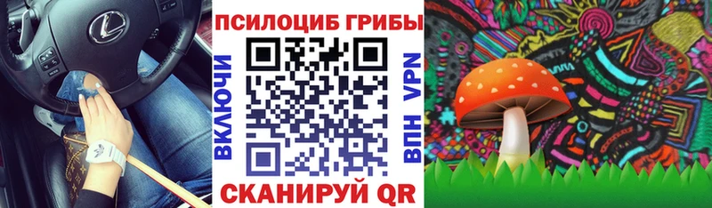 KRAKEN ONION  Краснотурьинск  Псилоцибиновые грибы Psilocybe  что такое наркотик 